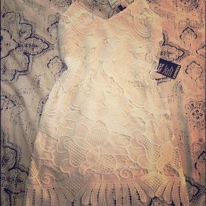 Express lacy dress